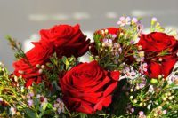 300-x-200-roses-3996953_640